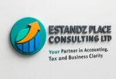 Estandz Place Consulting Ltd